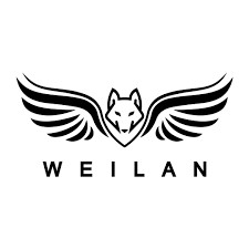 Weilan Robotics humanoid robotics company China